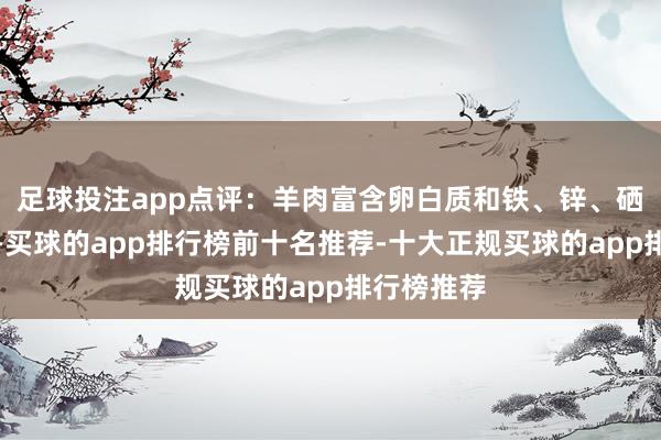 足球投注app点评：羊肉富含卵白质和铁、锌、硒等矿物资-买球的app排行榜前十名推荐-十大正规买球的app排行榜推荐