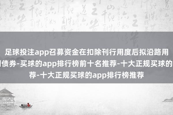 足球投注app召募资金在扣除刊行用度后拟沿路用于偿还到期公司债券-买球的app排行榜前十名推荐-十大正规买球的app排行榜推荐