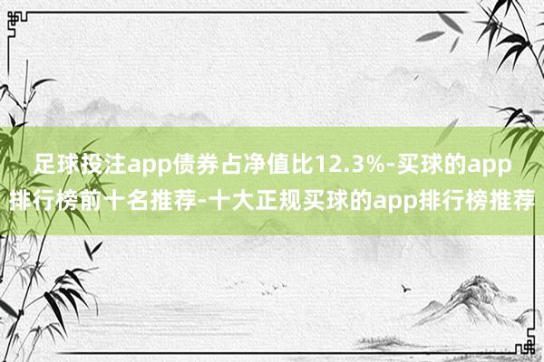 足球投注app债券占净值比12.3%-买球的app排行榜前十名推荐-十大正规买球的app排行榜推荐