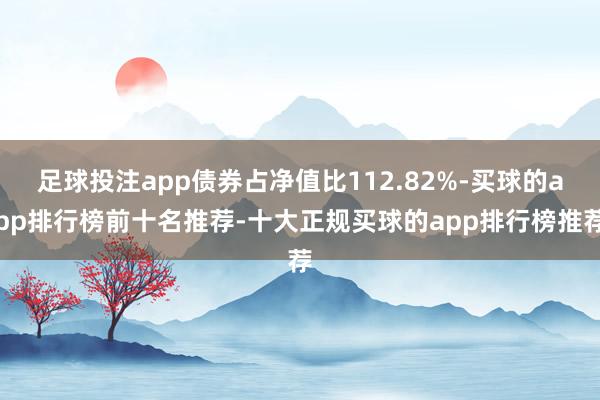 足球投注app债券占净值比112.82%-买球的app排行榜前十名推荐-十大正规买球的app排行榜推荐