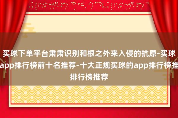 买球下单平台肃肃识别和根之外来入侵的抗原-买球的app排行榜前十名推荐-十大正规买球的app排行榜推荐
