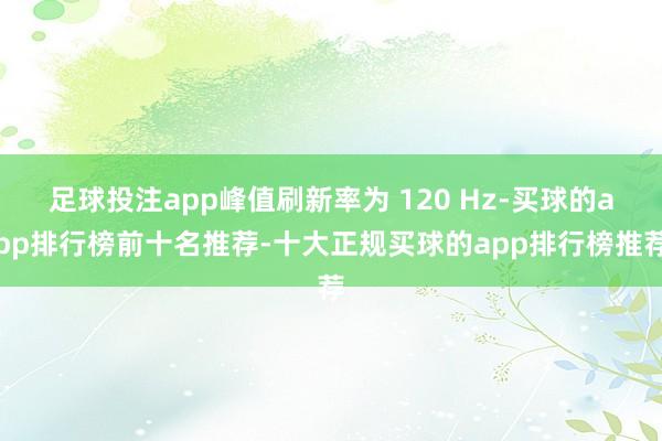 足球投注app峰值刷新率为 120 Hz-买球的app排行榜前十名推荐-十大正规买球的app排行榜推荐