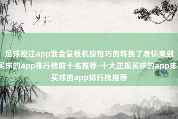 足球投注app紫金鼠很机缘恰巧的转换了表情来到了正圆-买球的app排行榜前十名推荐-十大正规买球的app排行榜推荐