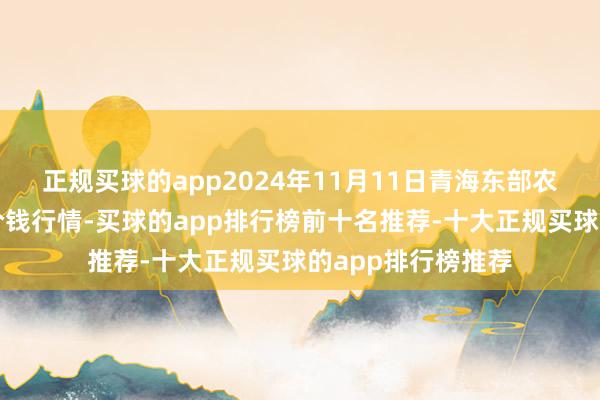 正规买球的app2024年11月11日青海东部农副居品概述市集价钱行情-买球的app排行榜前十名推荐-十大正规买球的app排行榜推荐