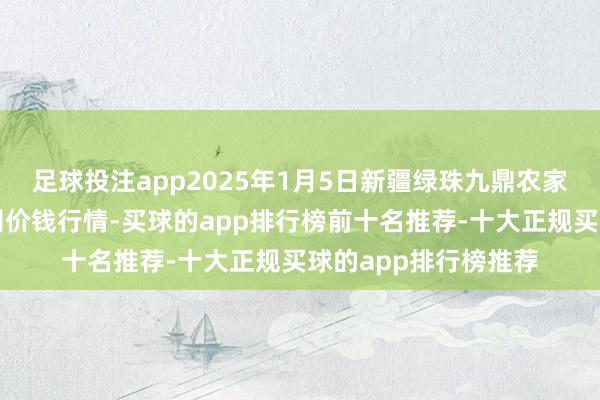 足球投注app2025年1月5日新疆绿珠九鼎农家具计算处分有限公司价钱行情-买球的app排行榜前十名推荐-十大正规买球的app排行榜推荐