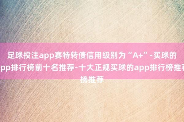 足球投注app赛特转债信用级别为“A+”-买球的app排行榜前十名推荐-十大正规买球的app排行榜推荐