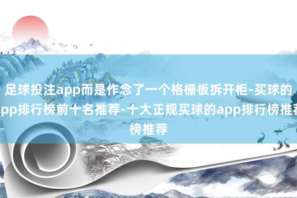 足球投注app而是作念了一个格栅板拆开柜-买球的app排行榜前十名推荐-十大正规买球的app排行榜推荐