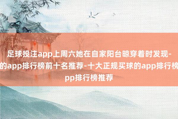 足球投注app上周六她在自家阳台晾穿着时发现-买球的app排行榜前十名推荐-十大正规买球的app排行榜推荐