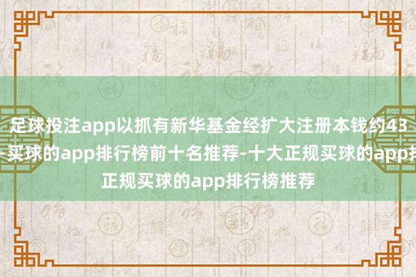 足球投注app以抓有新华基金经扩大注册本钱约43.18%股权-买球的app排行榜前十名推荐-十大正规买球的app排行榜推荐