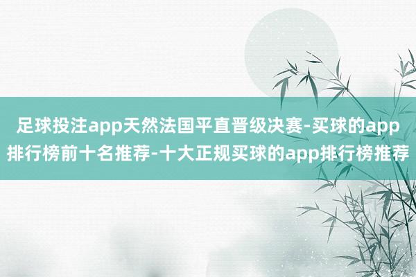 足球投注app天然法国平直晋级决赛-买球的app排行榜前十名推荐-十大正规买球的app排行榜推荐
