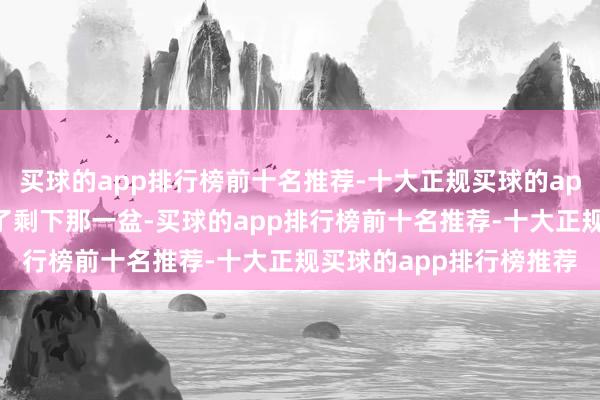 买球的app排行榜前十名推荐-十大正规买球的app排行榜推荐于是就炒了剩下那一盆-买球的app排行榜前十名推荐-十大正规买球的app排行榜推荐